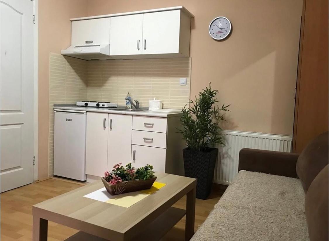 Konak Vila Mirkovic Sokobanja Extérieur photo