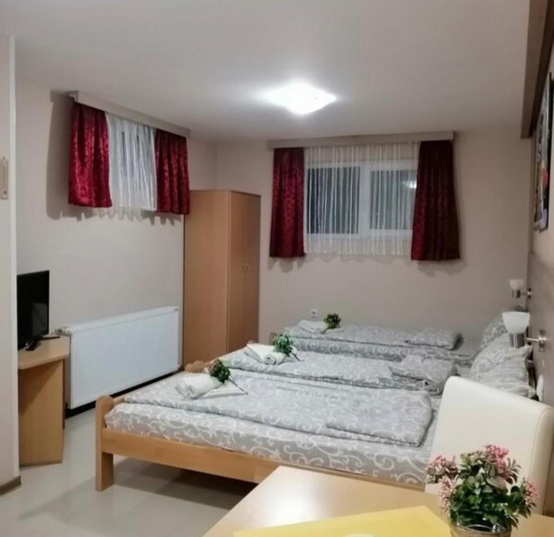 Konak Vila Mirkovic Sokobanja Extérieur photo