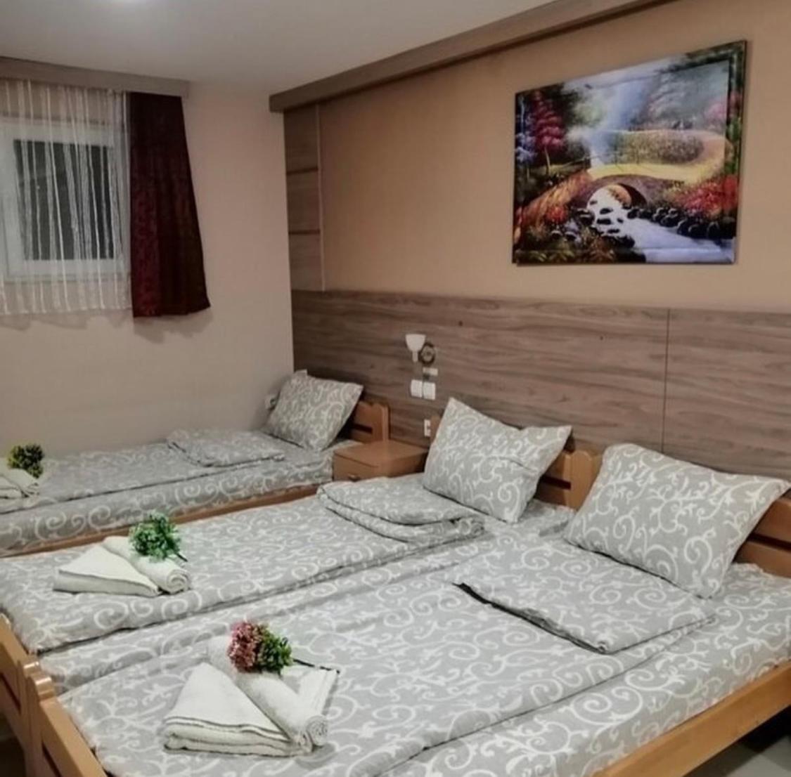 Konak Vila Mirkovic Sokobanja Extérieur photo