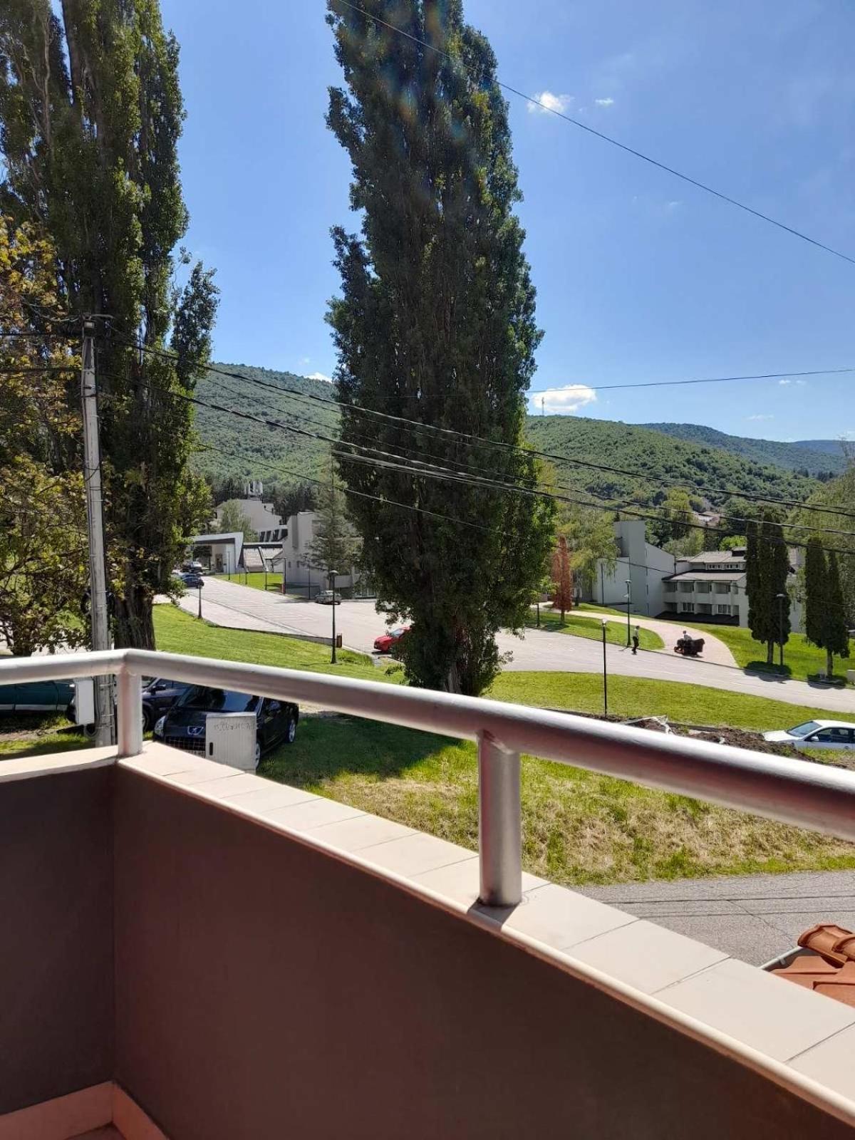 Konak Vila Mirkovic Sokobanja Extérieur photo
